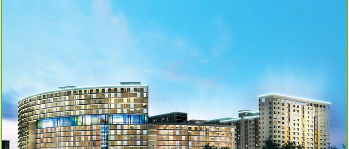 Anh phối cảnh Green Hill